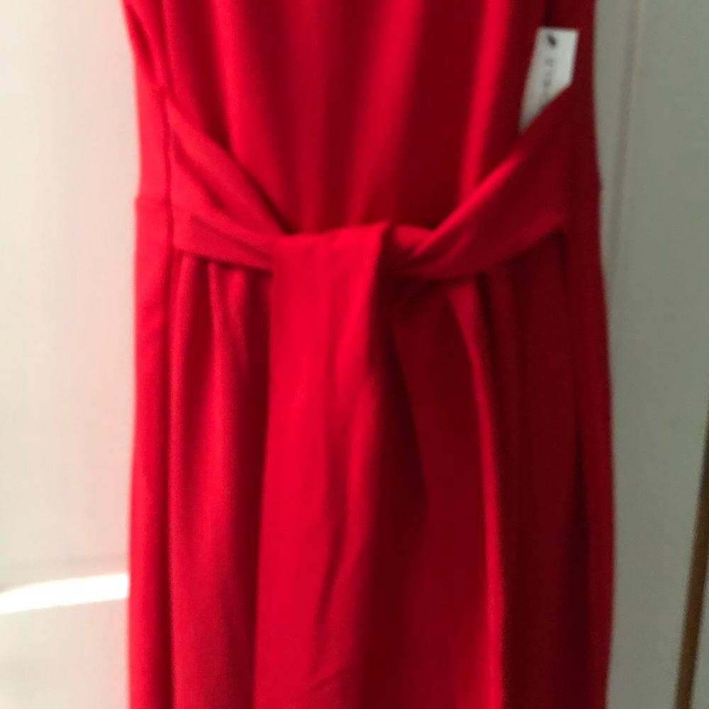 Elegant Red Sleeveless Dress - Picture 2 of 5